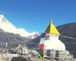 Everest Base Camp Trek - Dingboche 4200M