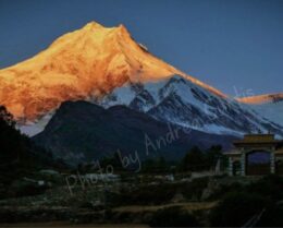 Mt. Manaslu from Lho Village