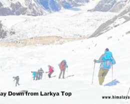 On the Way Down from Larkya La Pass Top
