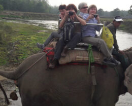 Elephant safari in Chitwan