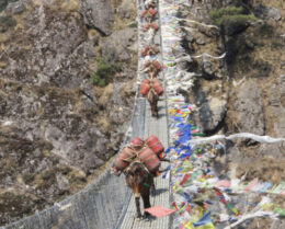 Hillary-bridge-in-Everest-Region-Island-Peak-Climbing