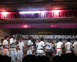 Tharu cultural dance in Chitwan