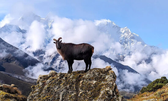 Best places to visit in the Everest Region in Nepal