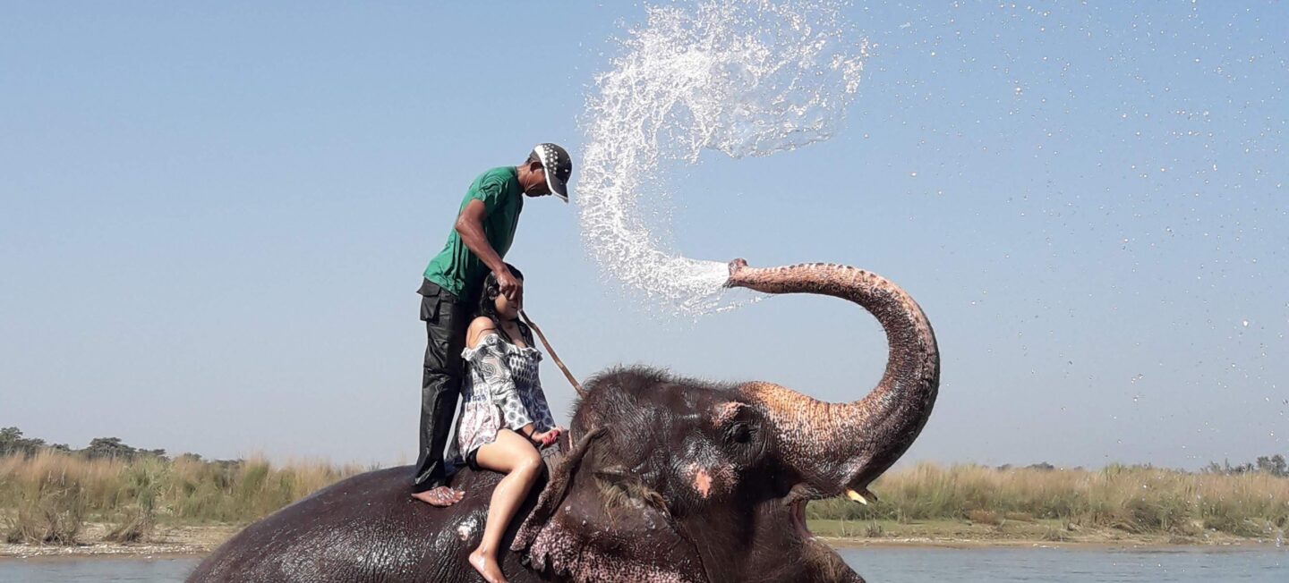 Elephant Bathing at chitwan