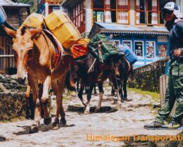 Himalayan Transportation