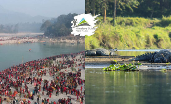 Best Things to Do in Chitwan