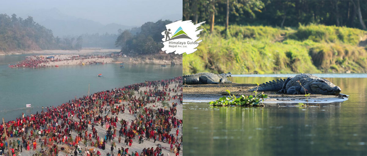 Best Things to Do in Chitwan