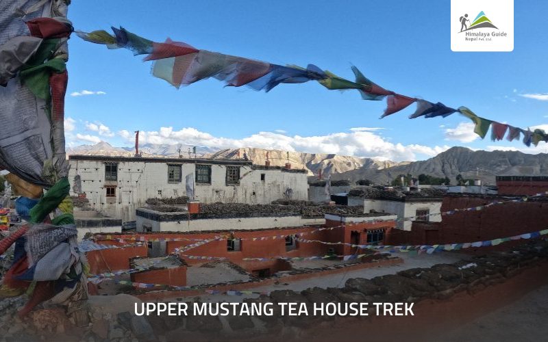 Upper Mustang Tea House Trek