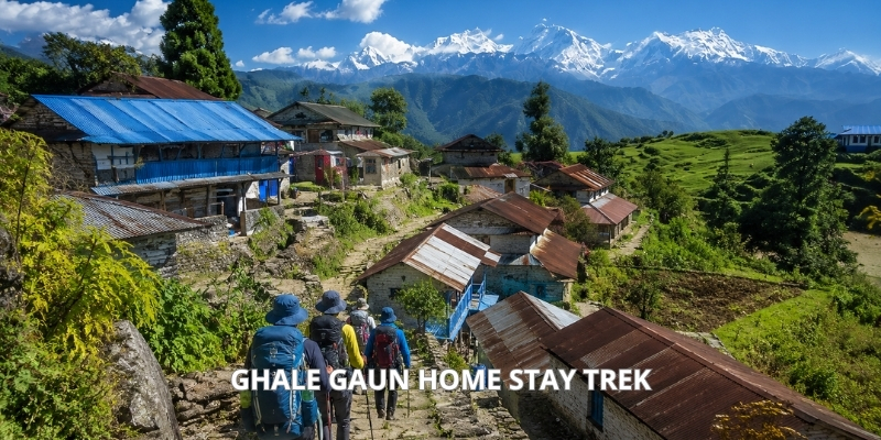 Ghale Gaun Home Stay Trek