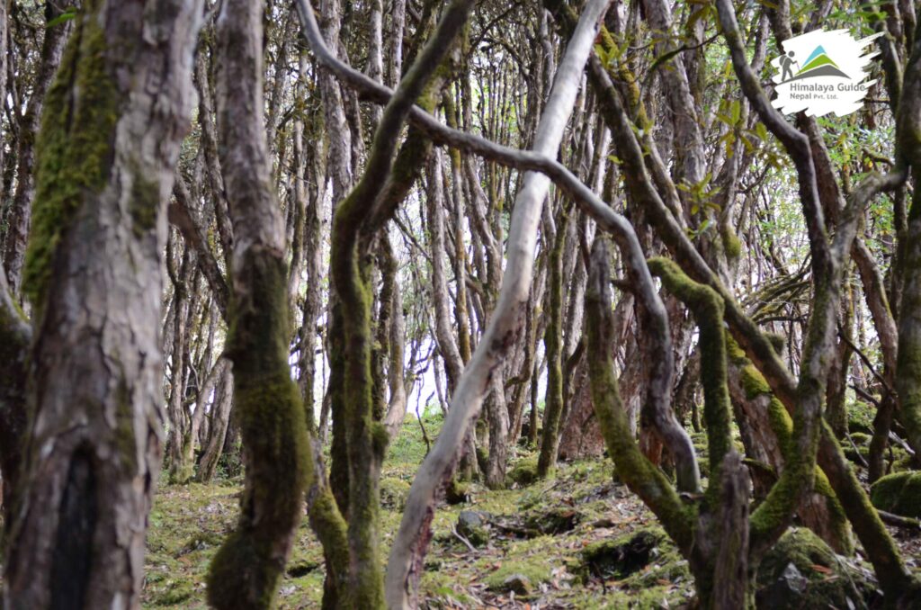 Kanchenjunga Conservation Area