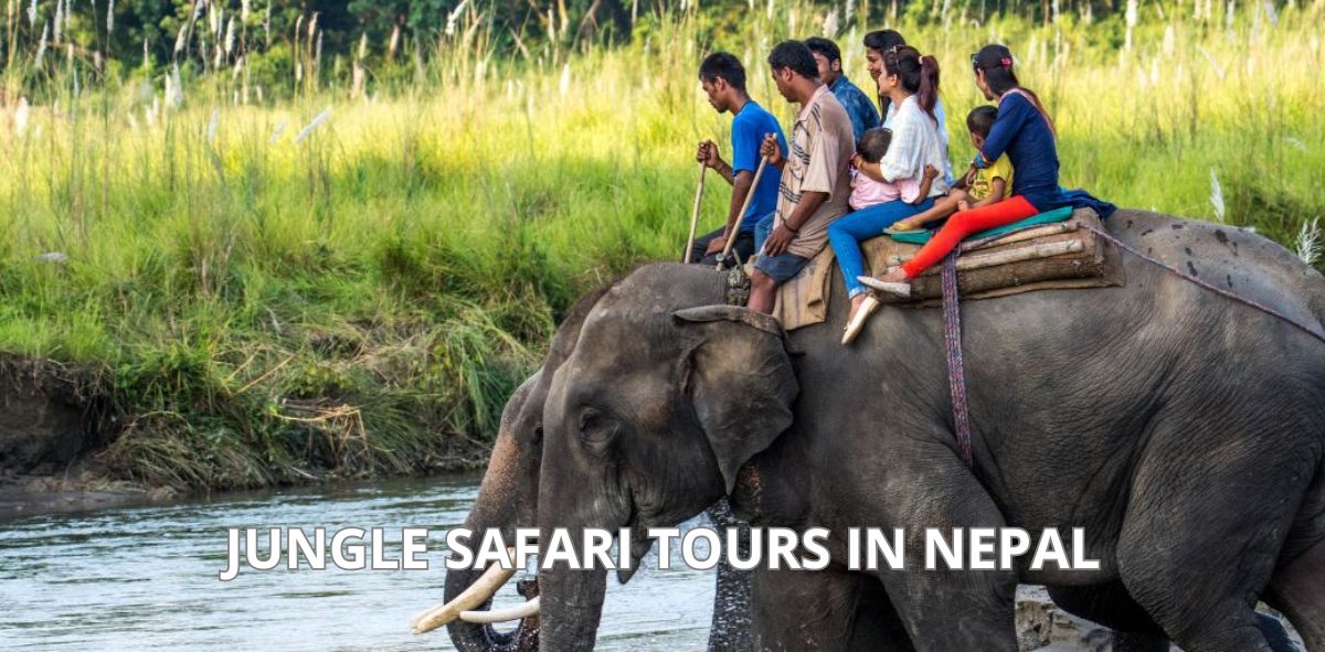Jungle Safari Tours in Nepal