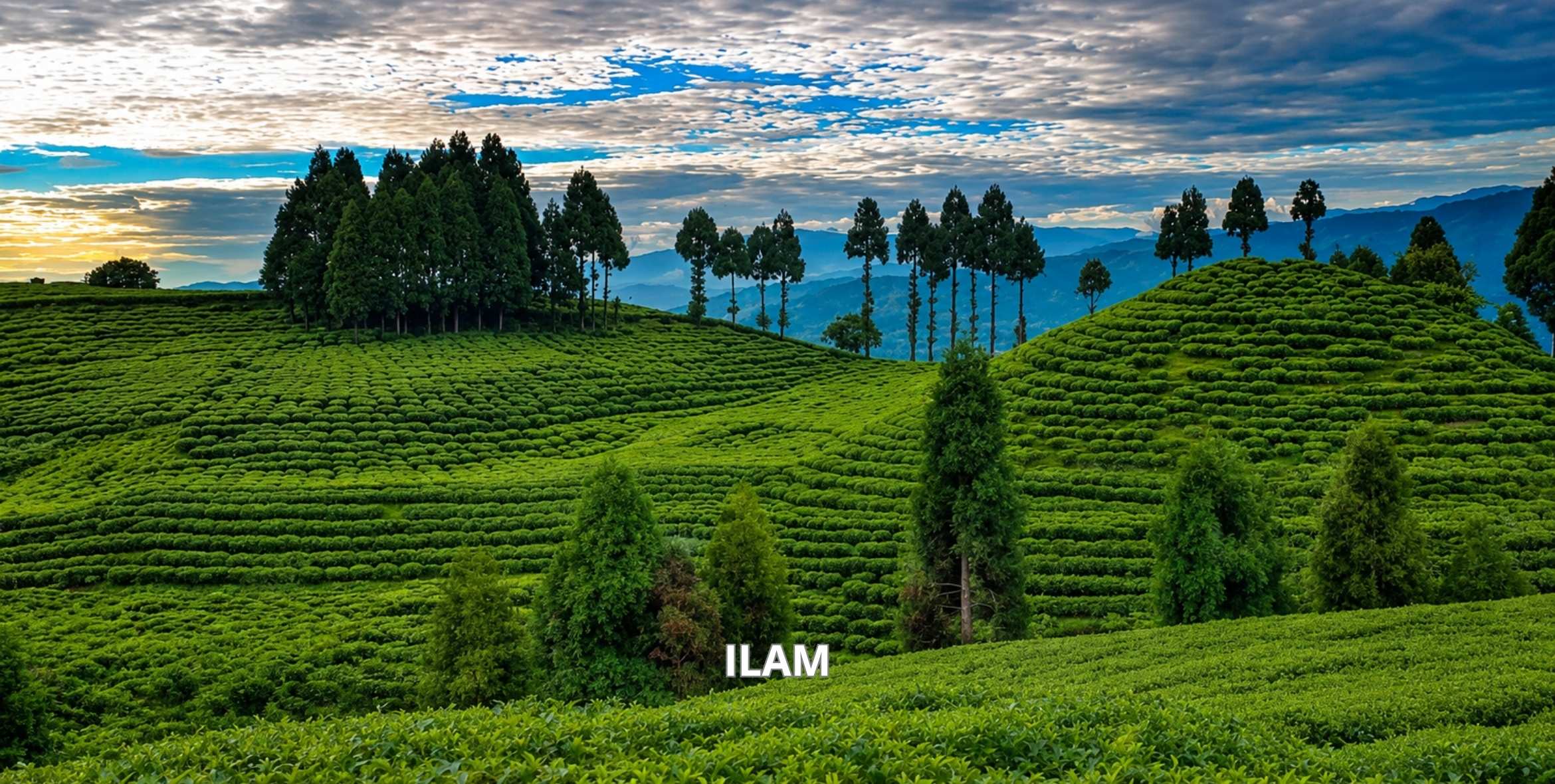 ilam