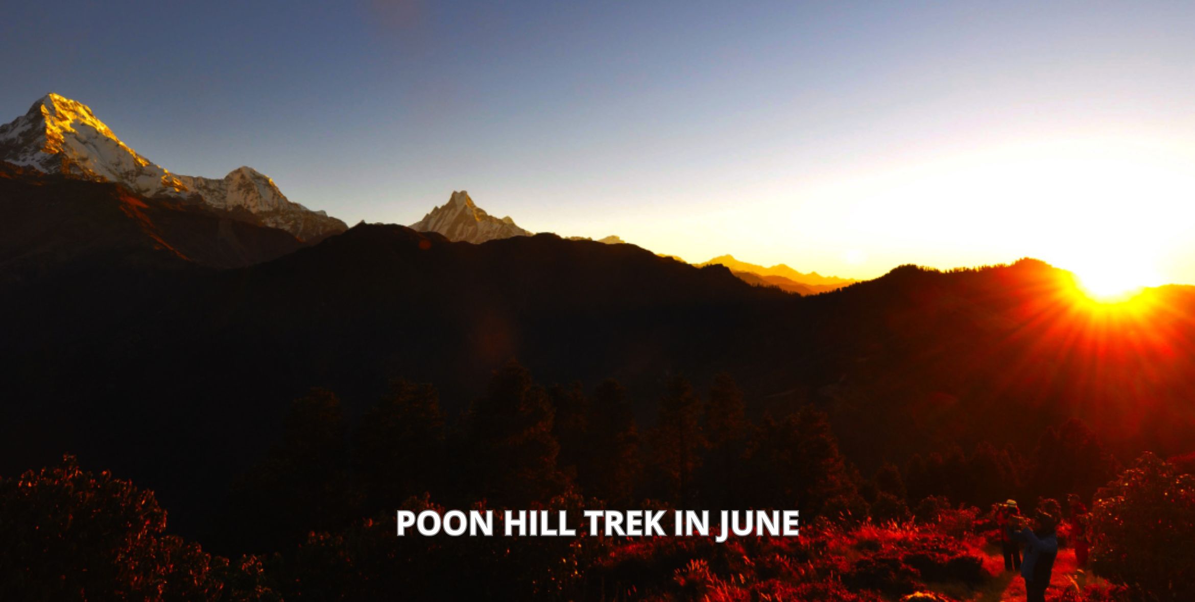 Poon Hill Trek in June
